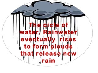 The cicle of
water. Rainwater
eventually rises
to form clouds
that release new
rain
 