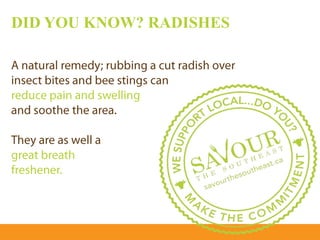DID YOU KNOW? RADISHES
 