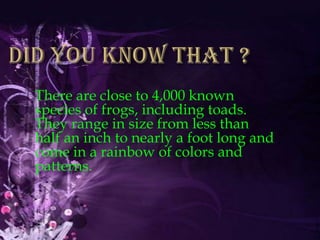 Did you know that ? There are close to 4,000 known species of frogs, including toads. They range in size from less than half an inch to nearly a foot long and come in a rainbow of colors and patterns. 