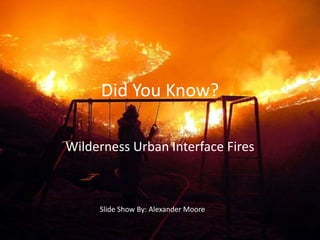 Did You Know? Wilderness Urban Interface Fires Slide Show By: Alexander Moore 