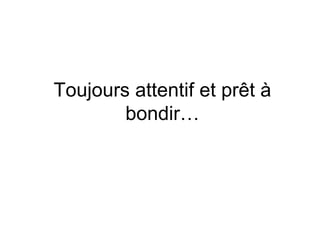 Toujours attentif et prêt à bondir… 