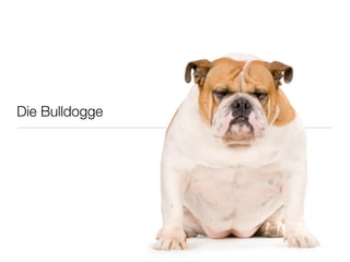 Die Bulldogge
 