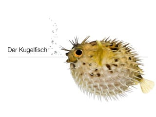 Der Kugelﬁsch
 