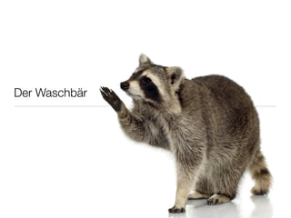 Der Waschbär
 