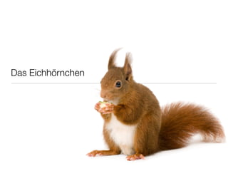 Das Eichhörnchen
 