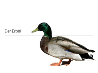 Der Erpel
 