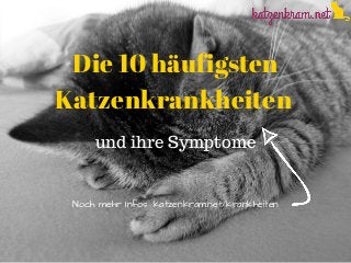 Die 10 häufigsten
Katzenkrankheiten
und ihre Symptome
Noch mehr Infos: katzenkram.net/krankheiten
 