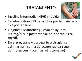 TRATAMIENTO
• Insulina intermedia (NPH) y rápida.
• Se administran 2/3 de la dósis por la mañana y
  1/3 por la tarde.
• Objetivo: Mantener glucosa en ayunas
  <90mg/dl y la postprandial de 2 horas < 120
  mg/dl.
• En el pre, trans y post-parto ó cirugía, se
  administra insulina de acción rápida según
  controles con glucemias. (Glucómetro)
 