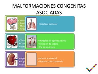 MALFORMACIONES CONGENITAS
       ASOCIADAS
  •   Anencefalia
  •   Encefalocele      • Hipoplasia pulmonar
  •   Mielomeningocele
  •   Holoprosencefalia




  • Transposicion de • Hipoplasia y agenesia sacra
                     grandes vasos
  • Coartacion de la aorta
                     • Luxacion de cadera
  • Defectos deptales Pie equino varo
                     •



  • Agenesia renal • Atresia ano-rectal
                      • Hiplasia colon izquierdo
  • Duplicacion ureteral
  • Riñon policístico
 