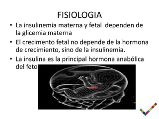 FISIOLOGIA
• La insulinemia materna y fetal dependen de
  la glicemia materna
• El crecimento fetal no depende de la hormona
  de crecimiento, sino de la insulinemia.
• La insulina es la principal hormona anabólica
  del feto
 
