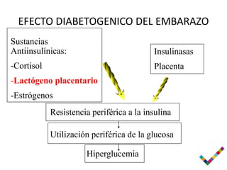 EFECTO DIABETOGENICO DEL EMBARAZO
Sustancias
Antiinsulínicas:                          Insulinasas
-Cortisol                                 Placenta
-Lactógeno placentario
-Estrógenos
            Resistencia periférica a la insulina

            Utilización periférica de la glucosa

                      Hiperglucemia
 