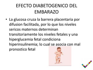 EFECTO DIABETOGENICO DEL
             EMBARAZO
• La glucosa cruza la barrera placentaria por
  difusion facilitada, por lo que los niveles
  sericos maternos determinan
  transitoriamente los niveles fetales y una
  hiperglucemia fetal condiciona
  hiperinsulinemia; lo cual se asocia con mal
  pronostico fetal
 
