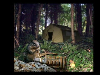 Die Aller Neuste Terroristengruppe Der Alcaida