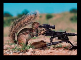 Die Aller Neuste Terroristengruppe Der Alcaida