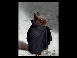 Die Aller Neuste Terroristengruppe Der Alcaida