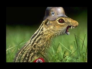 Die Aller Neuste Terroristengruppe Der Alcaida