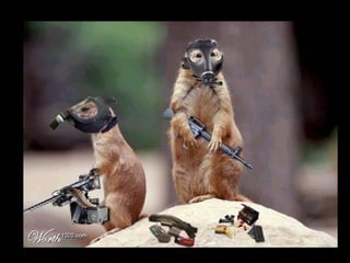 Die Aller Neuste Terroristengruppe Der Alcaida