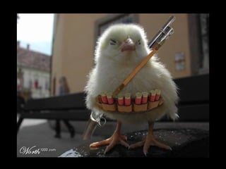 Die Aller Neuste Terroristengruppe Der Alcaida