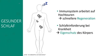GESUNDER
SCHLAF
▸Immunsystem arbeitet auf
Hochtouren
 schnellere Regeneration
▸Schlafeinforderung bei
Krankheit
 Eigenschutz des Körpers
11
„Schlaf - Grundbedürfnis und Lebenselixier“
 