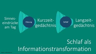 Schlaf als
Informationstransformation
7
Schlaf
Sinnes-
eindrücke
am Tag
Langzeit-
gedächtnis
Diagram: slidemodel.com
Filterung
Kurzzeit-
gedächtnis
 