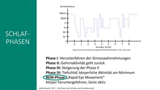 SCHLAF-
PHASEN
Phase I: Herunterfahren der Sinneswahrnehmungen
Phase II: Gehirnaktivität geht zurück
Phase III: Steigerung der Phase II
Phase IV: Tiefschlaf, körperliche Aktivität am Minimum
REM-Phase: „Rapid Eye Movement“
Körper heruntergefahren, Geist aktiv
8
https://commons.wikimedia.org/wiki/File%3ASchlafstadien_einer_nacht.png
„Schlaf-Special: Teil 2 – Die Phasen des Schlafes und ihre Bedeutung“
 