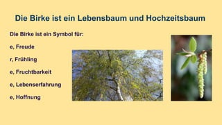 Die Birke ist ein Lebensbaum und Hochzeitsbaum
Die Birke ist ein Symbol für:
e, Freude
r, Frühling
e, Fruchtbarkeit
e, Lebenserfahrung
e, Hoffnung
 
