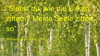 “Siehst du, wie die Birken
zittern? Meine Seele zittert
so”
(Richarda Huch, 1864 - 1947)
 