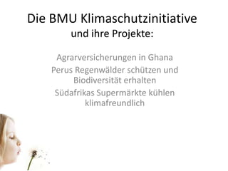 Die BMU Klimaschutzinitiative und ihre Projekte: Agrarversicherungen in Ghana Perus Regenwälder schützen und Biodiversität erhalten Südafrikas Supermärkte kühlen klimafreundlich 