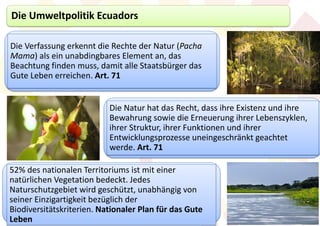 Die Umweltpolitik Ecuadors

Die Verfassung erkennt die Rechte der Natur (Pacha
Mama) als ein unabdingbares Element an, das
Beachtung finden muss, damit alle Staatsbürger das
Gute Leben erreichen. Art. 71


                           Die Natur hat das Recht, dass ihre Existenz und ihre
                           Bewahrung sowie die Erneuerung ihrer Lebenszyklen,
                           ihrer Struktur, ihrer Funktionen und ihrer
                           Entwicklungsprozesse uneingeschränkt geachtet
                           werde. Art. 71

52% des nationalen Territoriums ist mit einer
natürlichen Vegetation bedeckt. Jedes
Naturschutzgebiet wird geschützt, unabhängig von
seiner Einzigartigkeit bezüglich der
Biodiversitätskriterien. Nationaler Plan für das Gute
Leben
 
