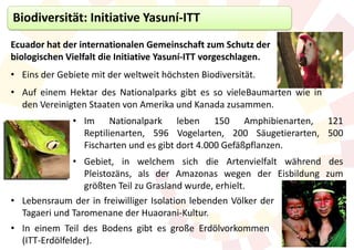 Biodiversität: Initiative Yasuní-ITT
Ecuador hat der internationalen Gemeinschaft zum Schutz der
biologischen Vielfalt die Initiative Yasuní-ITT vorgeschlagen.
• Eins der Gebiete mit der weltweit höchsten Biodiversität.
• Auf einem Hektar des Nationalparks gibt es so vieleBaumarten wie in
  den Vereinigten Staaten von Amerika und Kanada zusammen.
              • Im Nationalpark leben 150 Amphibienarten, 121
                Reptilienarten, 596 Vogelarten, 200 Säugetierarten, 500
                Fischarten und es gibt dort 4.000 Gefäßpflanzen.
              • Gebiet, in welchem sich die Artenvielfalt während des
                 Pleistozäns, als der Amazonas wegen der Eisbildung zum
                 größten Teil zu Grasland wurde, erhielt.
• Lebensraum der in freiwilliger Isolation lebenden Völker der
  Tagaeri und Taromenane der Huaorani-Kultur.
• In einem Teil des Bodens gibt es große Erdölvorkommen
  (ITT-Erdölfelder).
 
