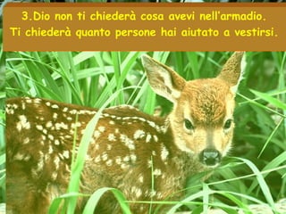 3.Dio non ti chiederà cosa avevi nell’armadio.
Ti chiederà quanto persone hai aiutato a vestirsi.
 