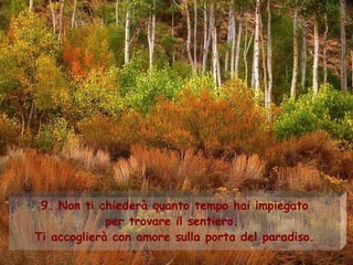 9.  Non ti chiederà quanto tempo hai impiegato per trovare il sentiero.  Ti accoglierà con amore sulla porta del paradiso. 
