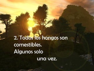 2. Todos los hongos son comestibles.  Algunos solo  una vez.  