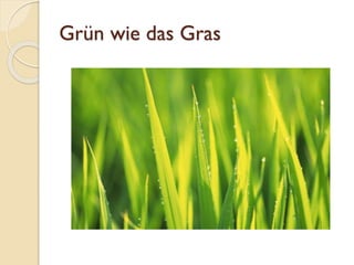 Grün wie das Gras
 