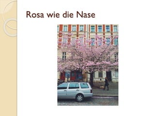 Rosa wie die Nase
 
