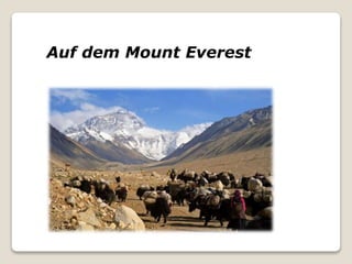Auf dem Mount Everest