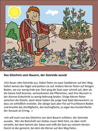 Das Gleichnis vom Bauern, der Getreide aussät
​»Ein Bauer säte Getreide aus. Dabei fielen ein paar Saatkörner auf den Weg.
Sofort kamen die Vögel und pickten sie auf. Andere Körner fielen auf felsigen
Boden, wo nur wenig Erde war. Dort ging die Saat zwar schnell auf, aber als
die Sonne heiß brannte, vertrockneten die Pflänzchen, weil ihre Wurzeln in
der dünnen Erdschicht zu wenig Nahrung fanden. Einige Körner fielen
zwischen die Disteln, doch diese hatten die junge Saat bald überwuchert, so
dass sie schließlich erstickte. Die übrige Saat aber fiel auf fruchtbaren Boden
und brachte das Dreißigfache, das Sechzigfache, ja sogar das Hundertfache
der Aussaat als Ertrag. «
»Ich will euch nun das Gleichnis von dem Bauern erklären, der Getreide
aussäte. Wer die Botschaft von Gottes neuer Welt hört, sie aber nicht
versteht, bei dem kommt der Satan und reißt die Saat aus seinem Herzen.
Damit ist der gemeint, bei dem die Körner auf den Weg fielen.
 