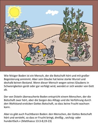 Wie felsiger Boden ist ein Mensch, der die Botschaft hört und mit großer
Begeisterung annimmt. Aber sein Glaube hat keine starke Wurzel und
deshalb keinen Bestand. Wenn dieser Mensch wegen seines Glaubens in
Schwierigkeiten gerät oder gar verfolgt wird, wendet er sich wieder von Gott
ab.
Der von Disteln überwucherte Boden entspricht einem Menschen, der die
Botschaft zwar hört, aber die Sorgen des Alltags und die Verführung durch
den Wohlstand ersticken Gottes Botschaft, so dass keine Frucht wachsen
kann.
Aber es gibt auch fruchtbaren Boden: den Menschen, der Gottes Botschaft
hört und versteht, so dass er Frucht bringt, dreißig-, sechzig- oder
hundertfach.« (Matthaeus 13:3-8;19-23)
 