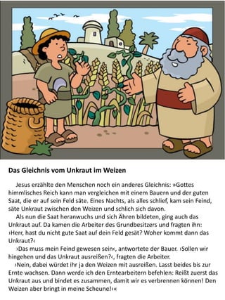 Das Gleichnis vom Unkraut im Weizen
​ Jesus erzählte den Menschen noch ein anderes Gleichnis: »Gottes
himmlisches Reich kann man vergleichen mit einem Bauern und der guten
Saat, die er auf sein Feld säte. Eines Nachts, als alles schlief, kam sein Feind,
säte Unkraut zwischen den Weizen und schlich sich davon.
Als nun die Saat heranwuchs und sich Ähren bildeten, ging auch das
Unkraut auf. Da kamen die Arbeiter des Grundbesitzers und fragten ihn:
›Herr, hast du nicht gute Saat auf dein Feld gesät? Woher kommt dann das
Unkraut?‹
›Das muss mein Feind gewesen sein‹, antwortete der Bauer. ›Sollen wir
hingehen und das Unkraut ausreißen?‹, fragten die Arbeiter.
›Nein, dabei würdet ihr ja den Weizen mit ausreißen. Lasst beides bis zur
Ernte wachsen. Dann werde ich den Erntearbeitern befehlen: Reißt zuerst das
Unkraut aus und bindet es zusammen, damit wir es verbrennen können! Den
Weizen aber bringt in meine Scheune!‹«
 