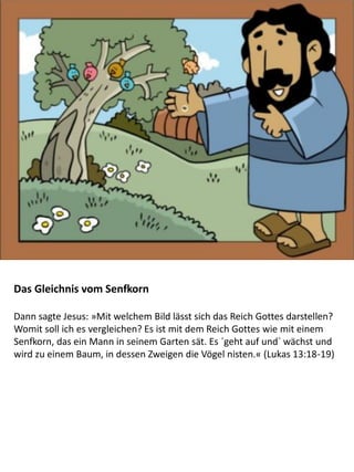 Das Gleichnis vom Senfkorn
Dann sagte Jesus: »Mit welchem Bild lässt sich das Reich Gottes darstellen?
Womit soll ich es vergleichen? Es ist mit dem Reich Gottes wie mit einem
Senfkorn, das ein Mann in seinem Garten sät. Es ´geht auf und` wächst und
wird zu einem Baum, in dessen Zweigen die Vögel nisten.« (Lukas 13:18-19)
 