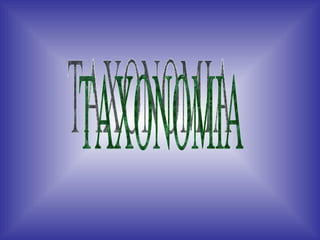 TAXONOMIA 