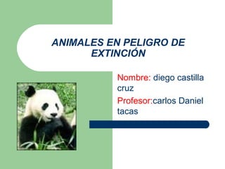 ANIMALES EN PELIGRO DE
      EXTINCIÓN

          Nombre: diego castilla
          cruz
          Profesor:carlos Daniel
          tacas
 