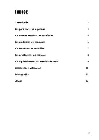 ÍNDICE
Introdución 3
Os poríferos: as esponxas 4
Os vermes mariños: os arenícolas 5
Os cnidarios: as anémonas 6
Os moluscos: os mexillóns 7
Os crustáceos: os centolos 8
Os equinodermos: as estrelas de mar 9
Conclusión e valoración 10
Bibliografía: 11
Anexo 12
2
 