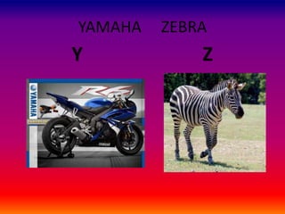 YAMAHA ZEBRA
Y Z
 