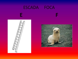 ESCADA FOCA
E F
 