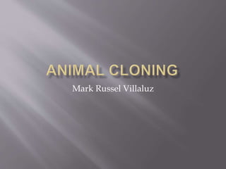 Mark Russel Villaluz 
 