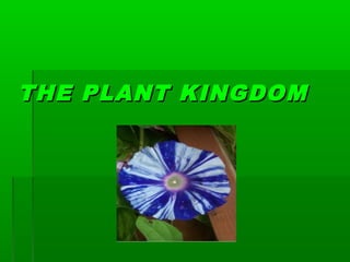THE PLANT KINGDOMTHE PLANT KINGDOM
 