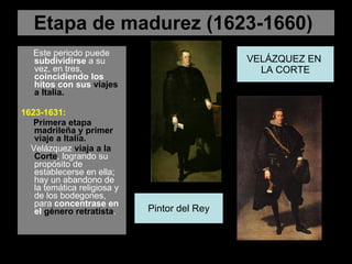 Etapa de madurez (1623-1660)  Este periodo puede  subdividirse  a su vez, en tres,  coincidiendo los hitos con sus  viajes a Italia.   1623-1631:   Primera etapa madrileña y primer viaje a Italia. Velázquez  viaja a la Corte , logrando su propósito de establecerse en ella; hay un abandono de la temática religiosa y de los bodegones, para  concentrase en el  género retratista .  VELÁZQUEZ EN  LA CORTE Pintor del Rey 