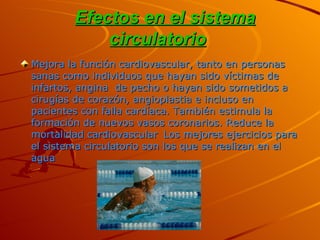 Efectos en el sistema circulatorio   Mejora la función cardiovascular, tanto en personas sanas como individuos que hayan sido víctimas de infartos, angina  de pecho o hayan sido sometidos a cirugías de corazón, angioplastia e incluso en pacientes con falla cardíaca. También estimula la formación de nuevos vasos coronarios. Reduce   la   mortalidad   cardiovascular   Los mejores ejercicios para el sistema circulatorio son los que se realizan en el agua 