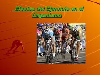 Efectos del Ejercicio en el Organismo     